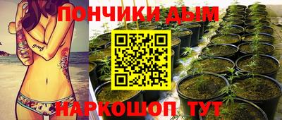 гидра Белореченск