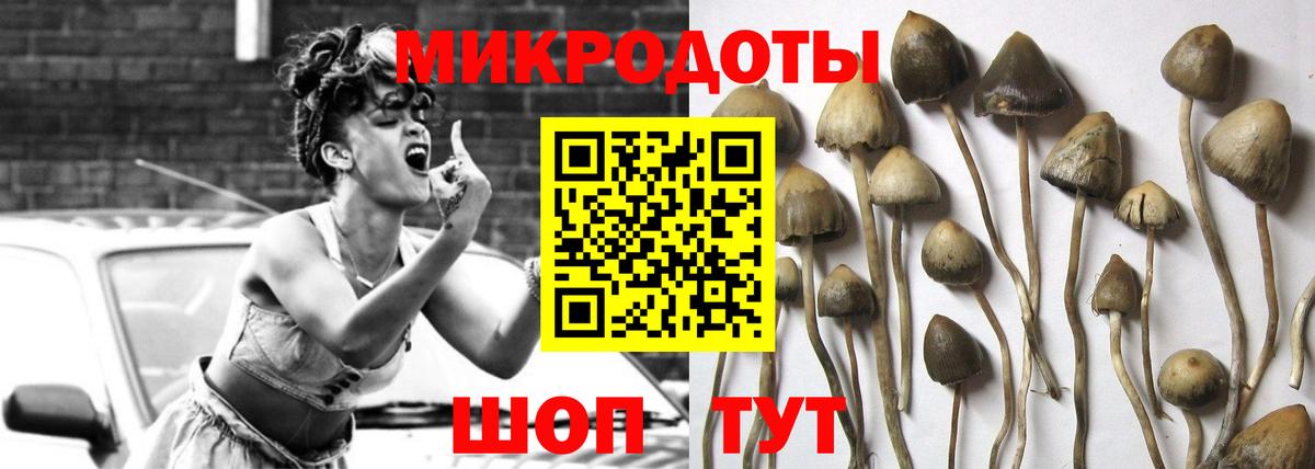 Галлюциногенные грибы Cubensis Артёмовский